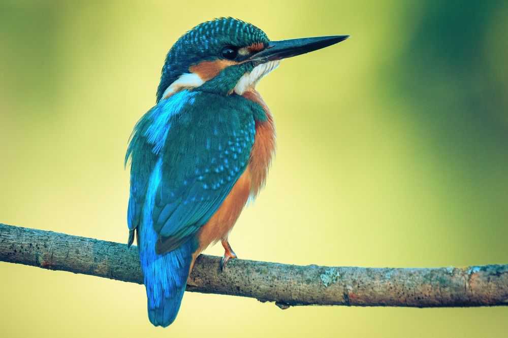 Photograph by Вячеслав Ладанов