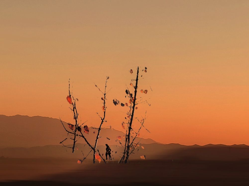 Photograph by Akhoondi Hannaneh