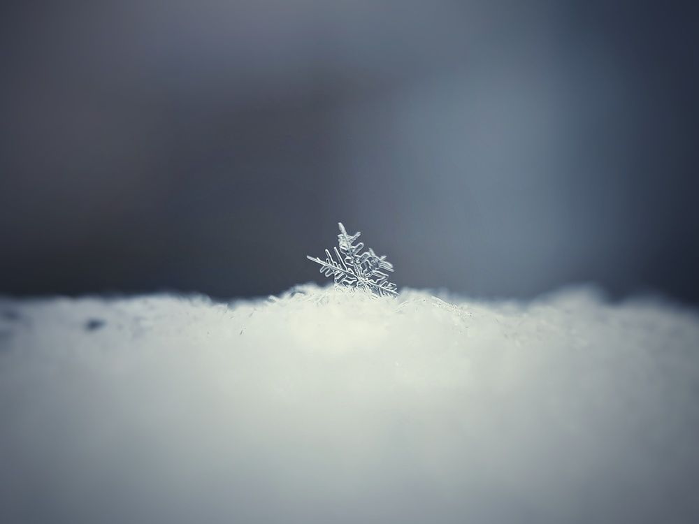 Photograph by Ольга Метлицкая