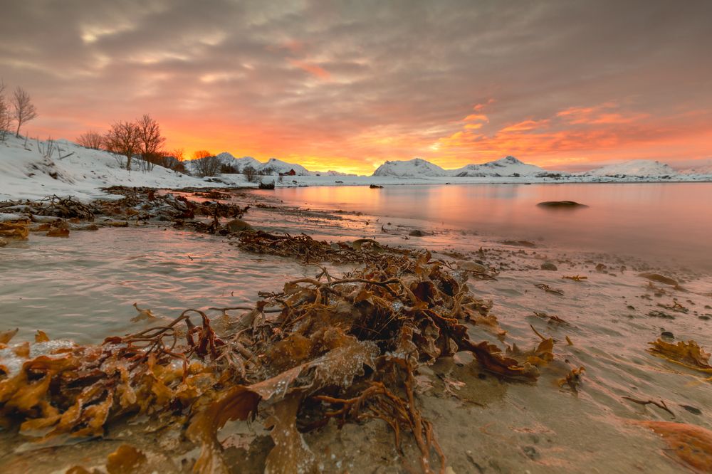 Photograph by Евгения Чех