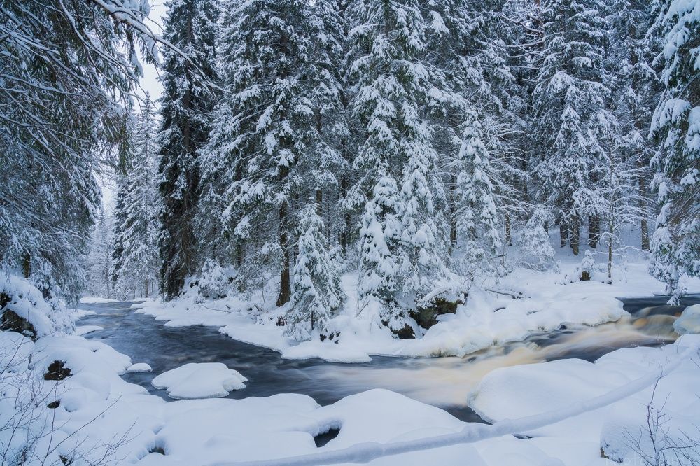 Photograph by Константин Абрамов