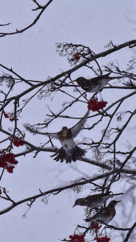 Photograph by Ljudmilla Pavljutsenkova