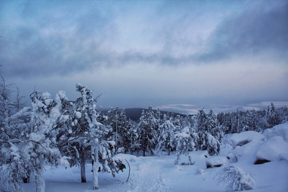 Photograph by Астафьева Анастасия