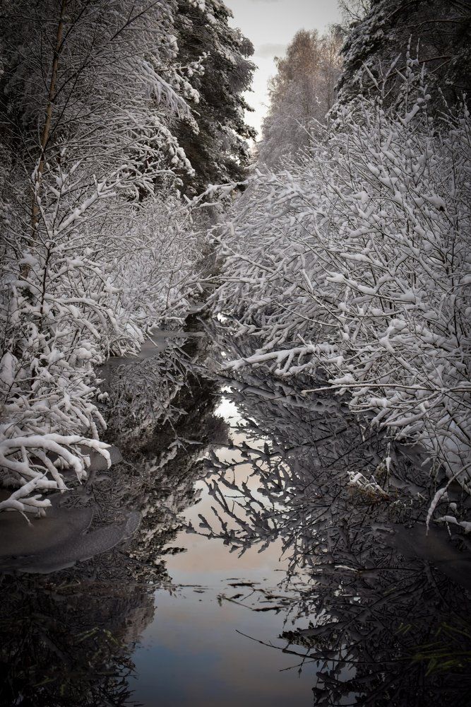 Photograph by Ljudmilla Pavljutsenkova