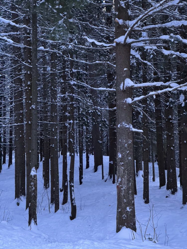 Photograph by Татьяна Смирнова