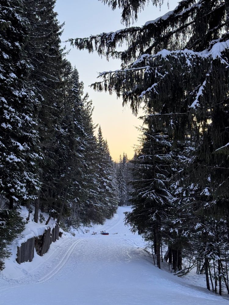 Photograph by Татьяна Смирнова