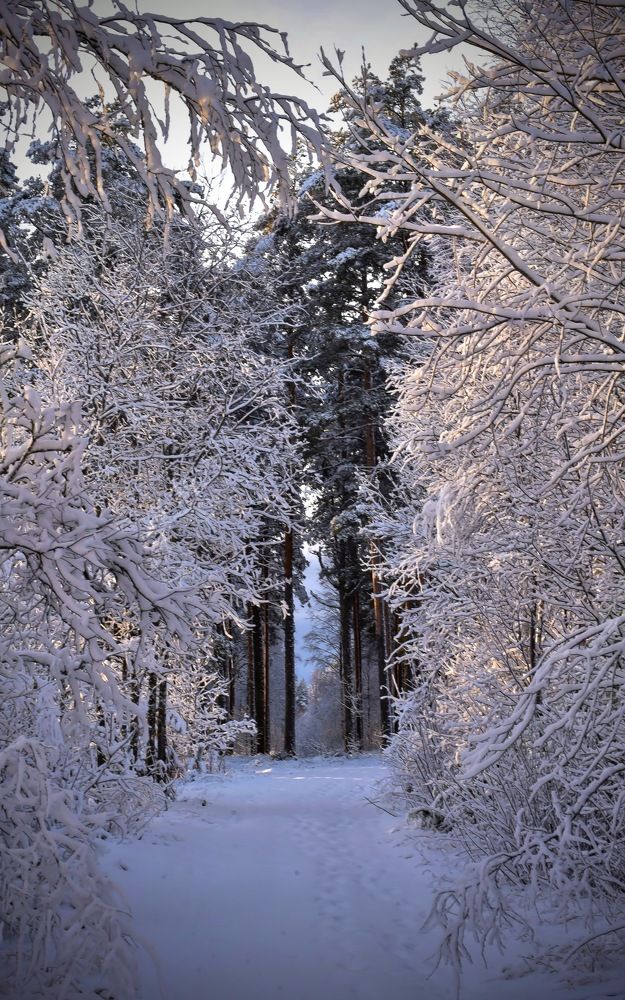 Photograph by Ljudmilla Pavljutsenkova