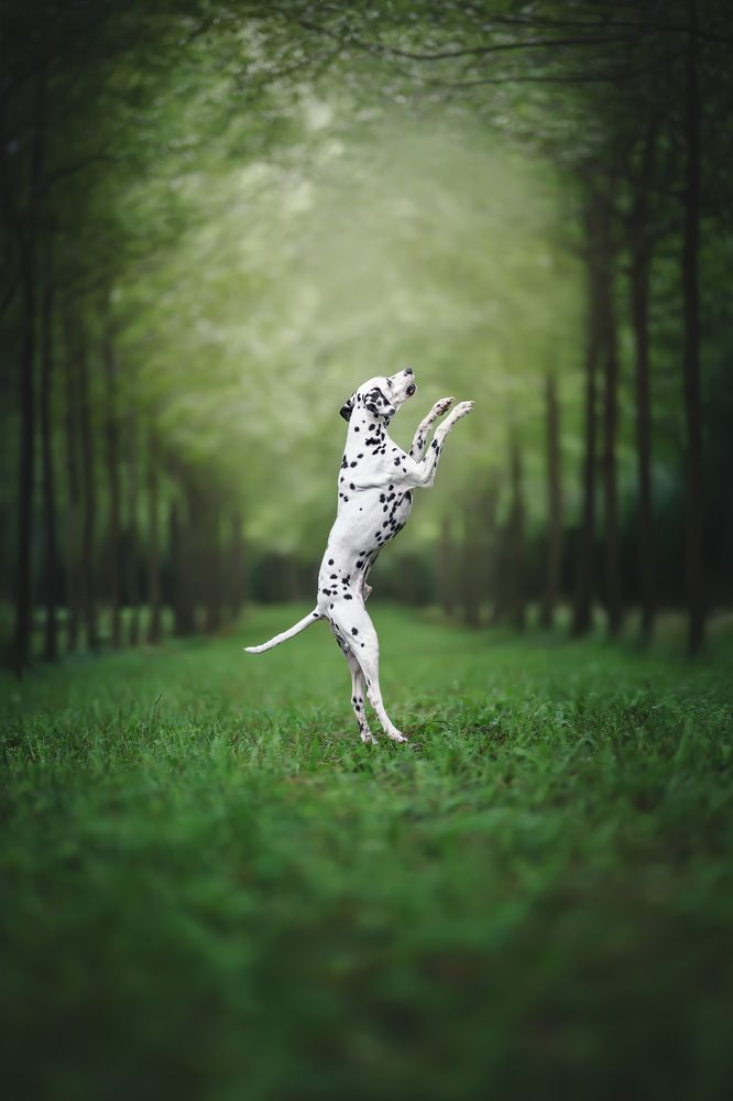 Фотография автора Rut Casanellas