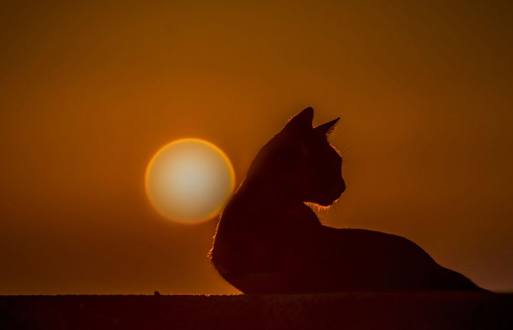 Photograph by Владислав Айзенберг