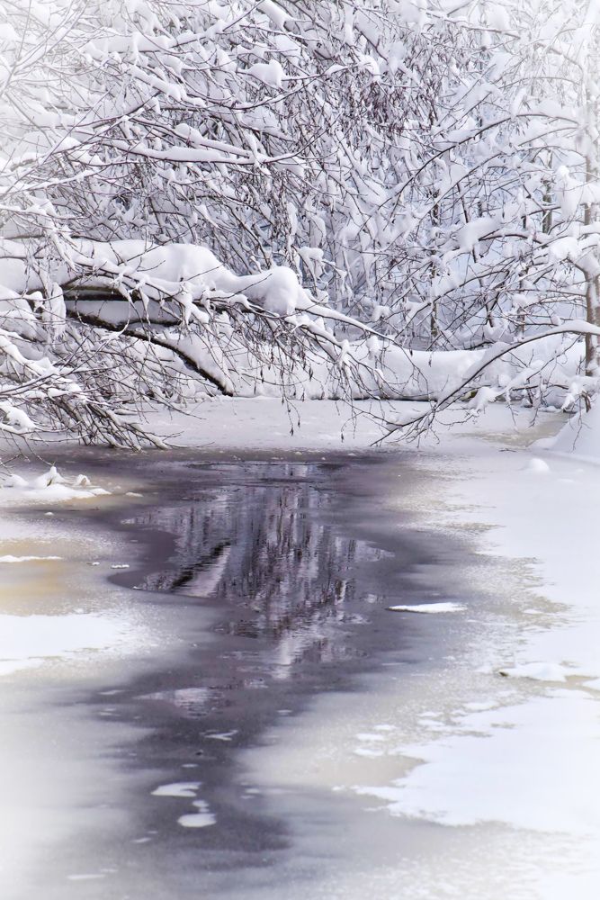 Photograph by Ljudmilla Pavljutsenkova