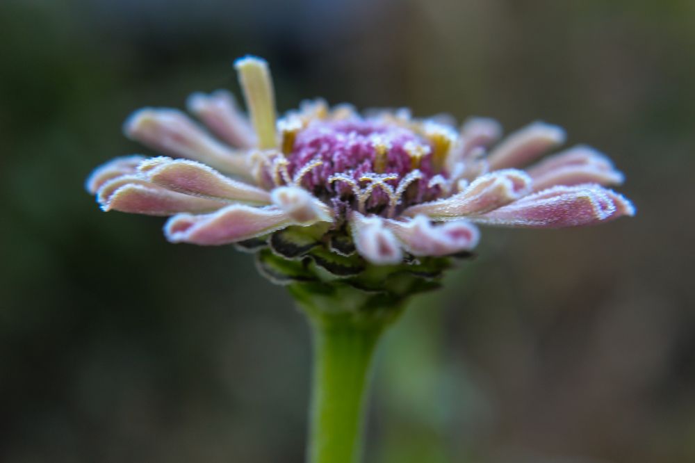 Photograph by Ирина Дмитриенко