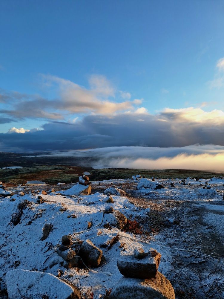 Photograph by Ольга Мольдон