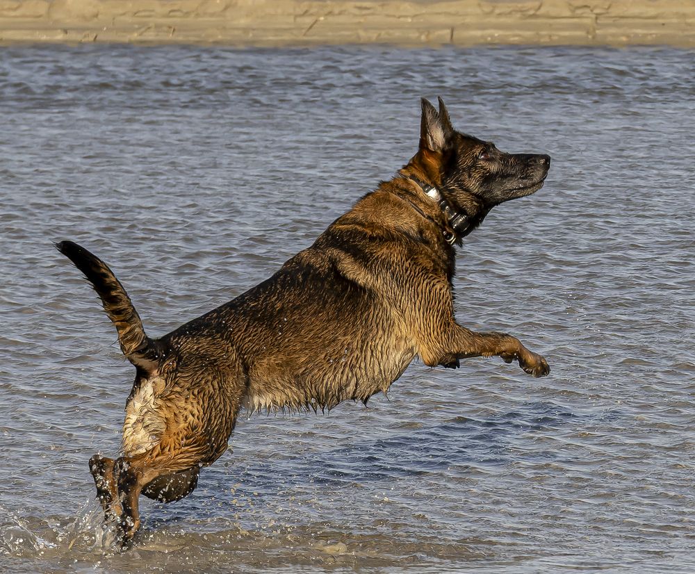 Photograph by Schletter Jackie