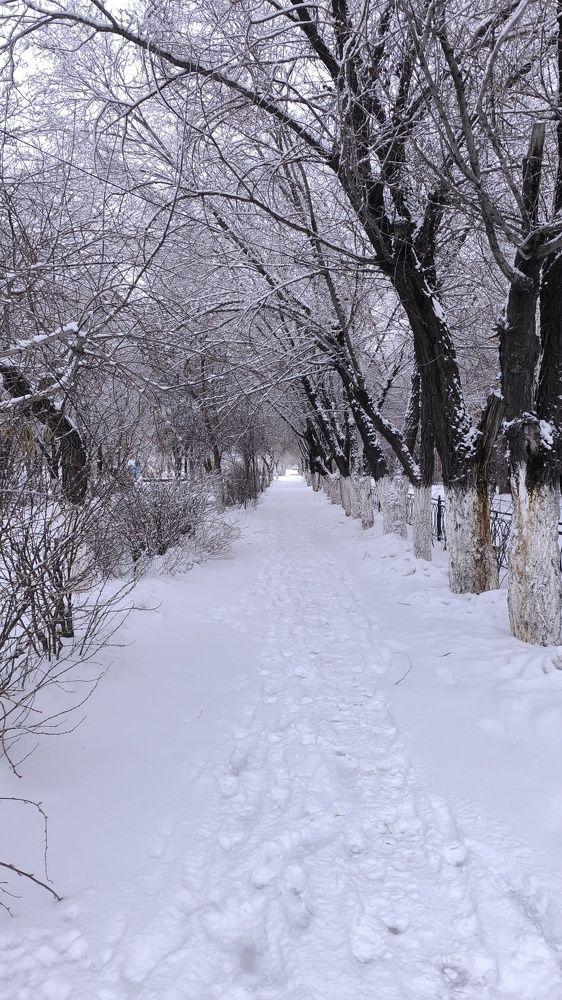 Photograph by Олеся