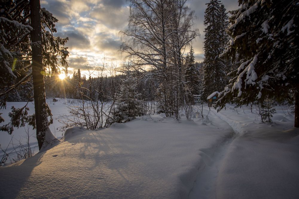 Фотография автора Злобин Сергей