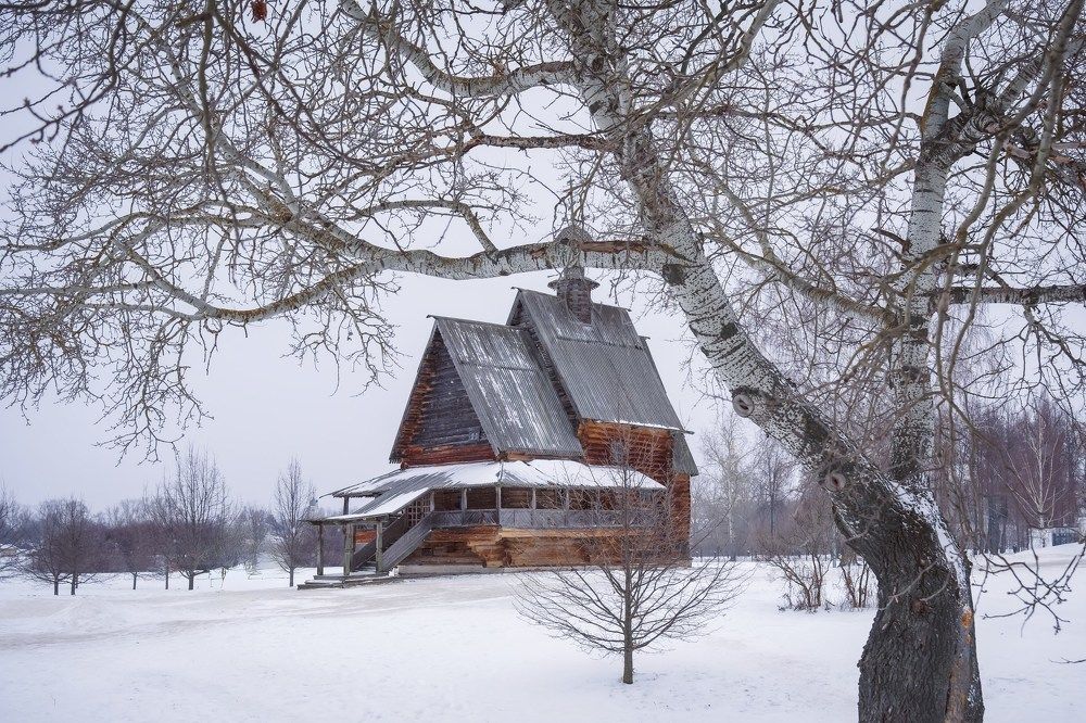 Photograph by Марина Суздаль