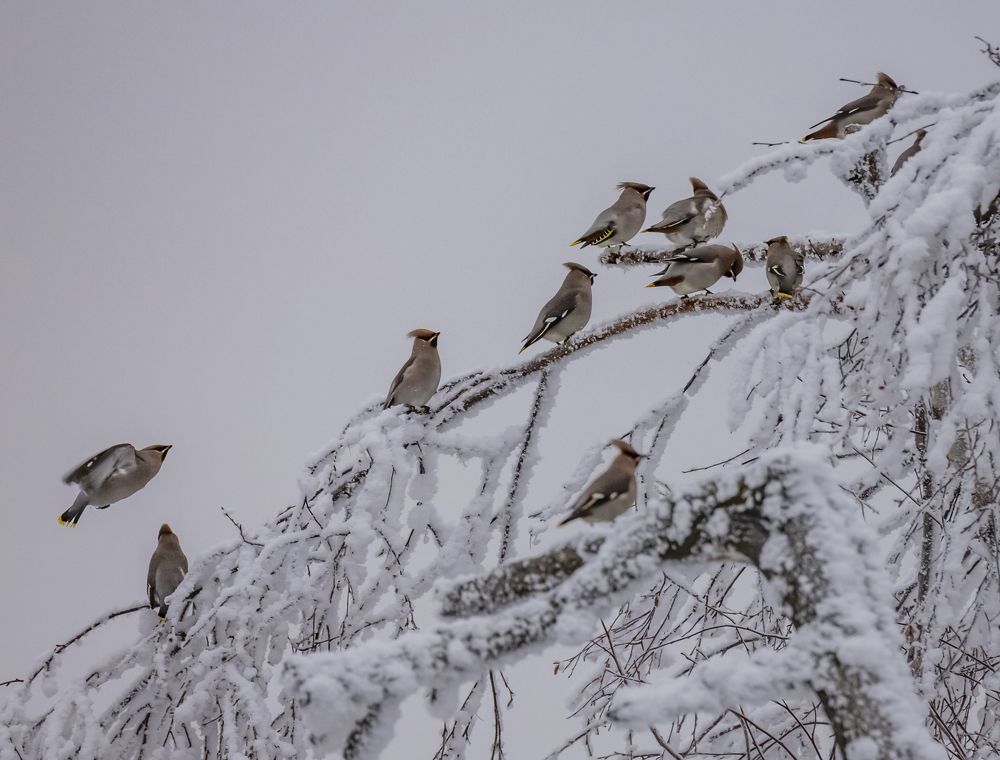 Photograph by Елена Перминова