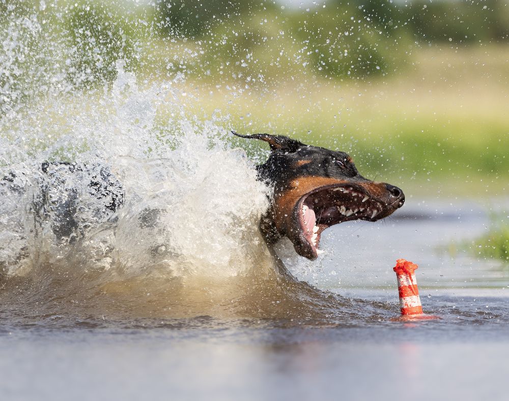 Photograph by Юлия Болдинова