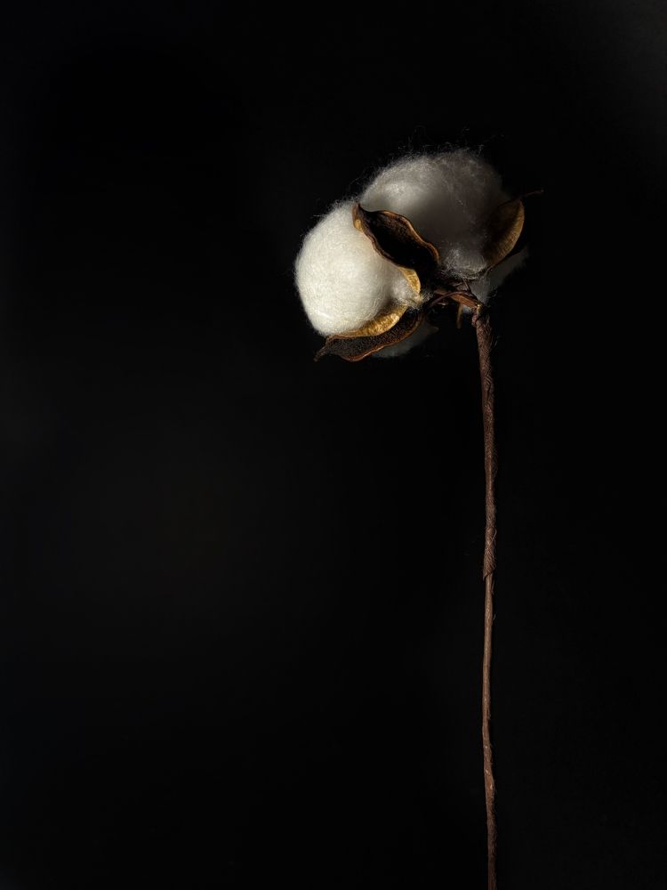 Photograph by Елена Яковлева