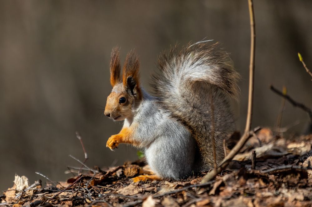 Photograph by Сергей Абашкин