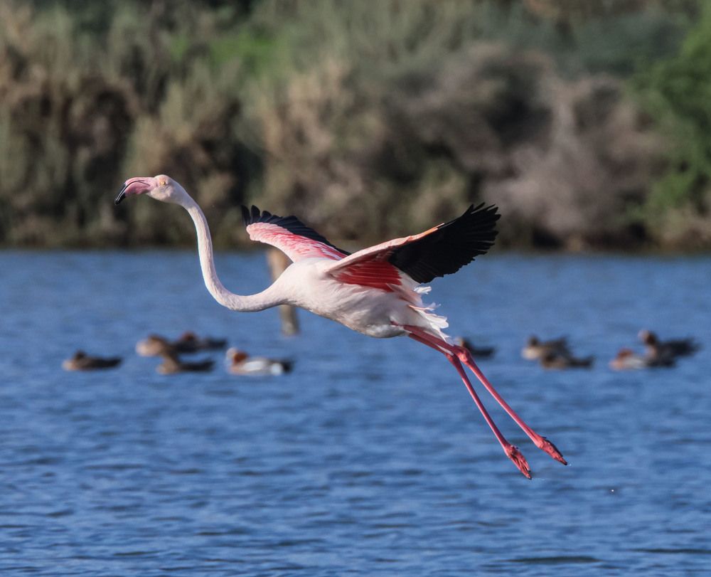 Photograph by Валентина Лопаткина