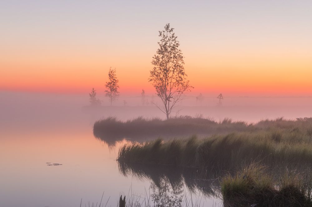 Photograph by Третьякова Анастасия