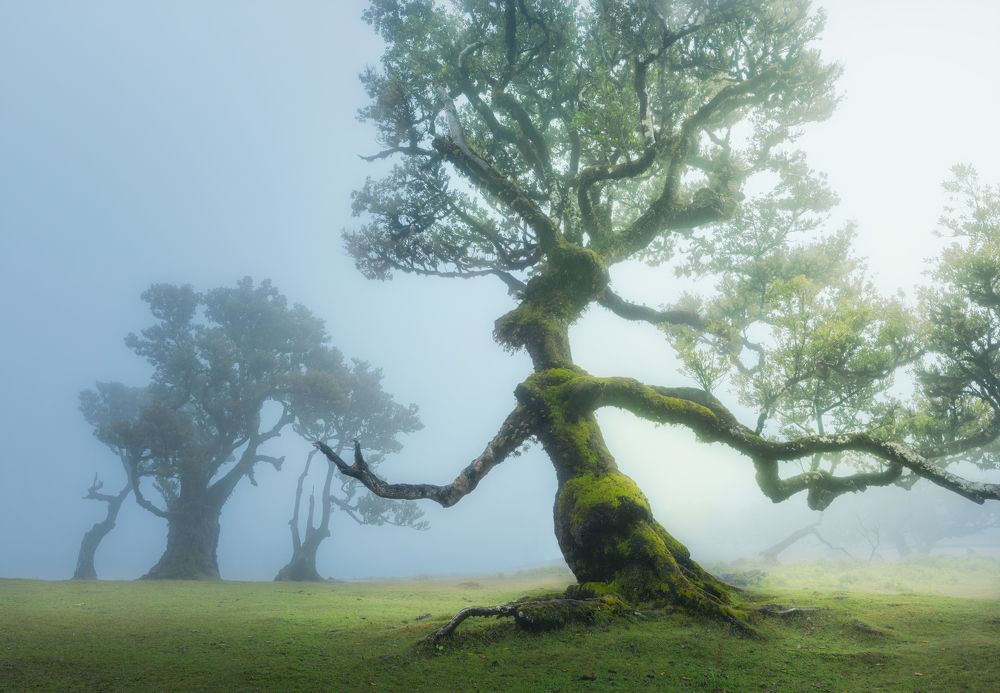 Photograph by Lara Iris