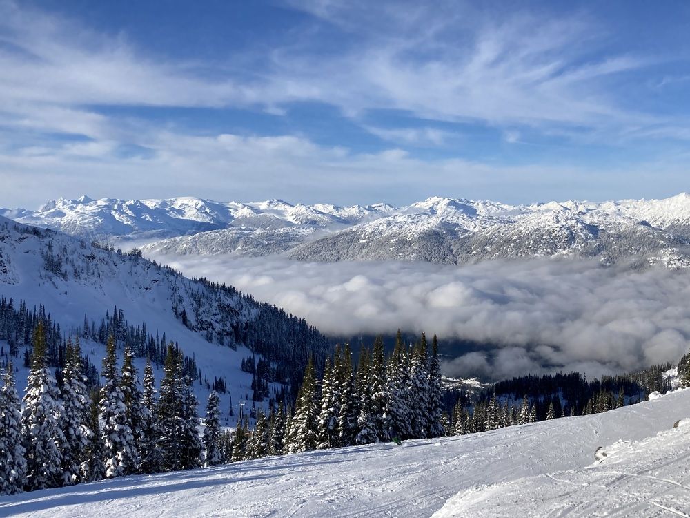 Фотография автора Елена