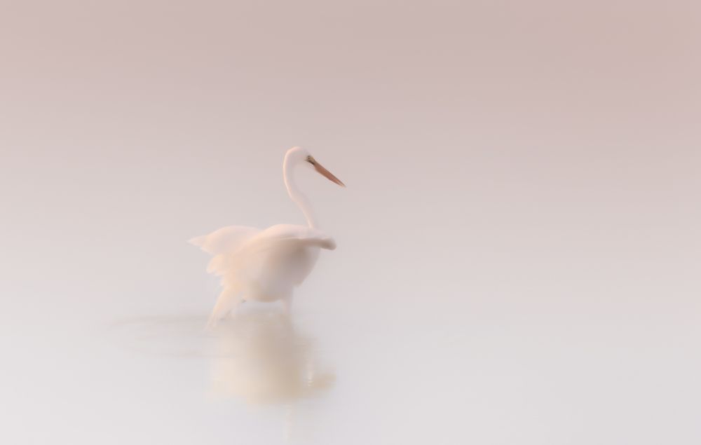 Photograph by Schletter Jackie