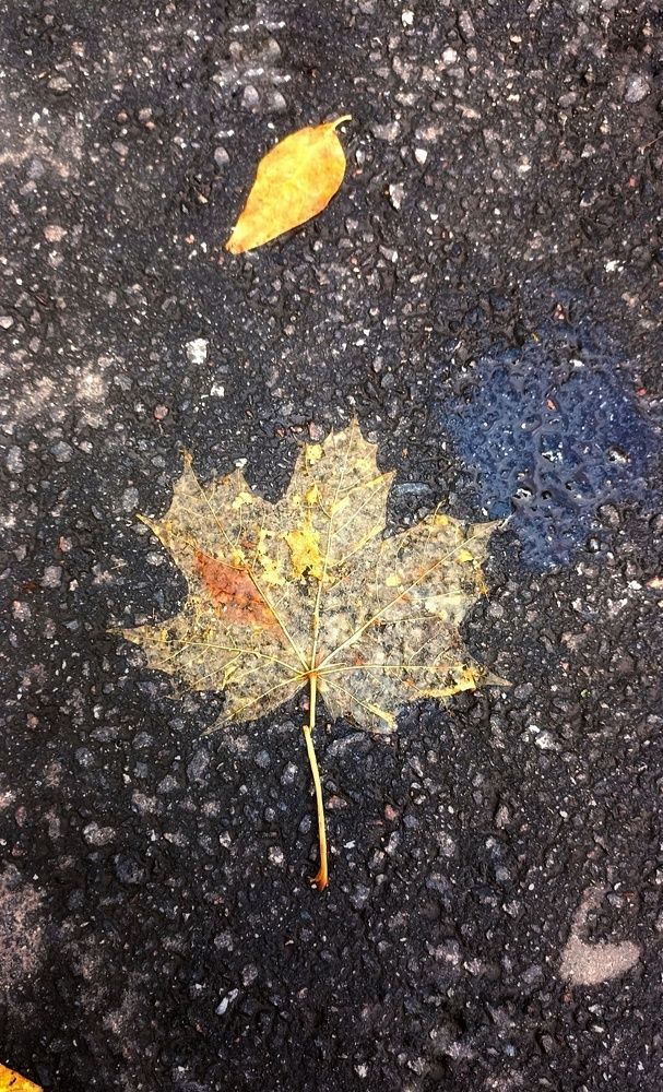 Photograph by Олеся Лосыгина