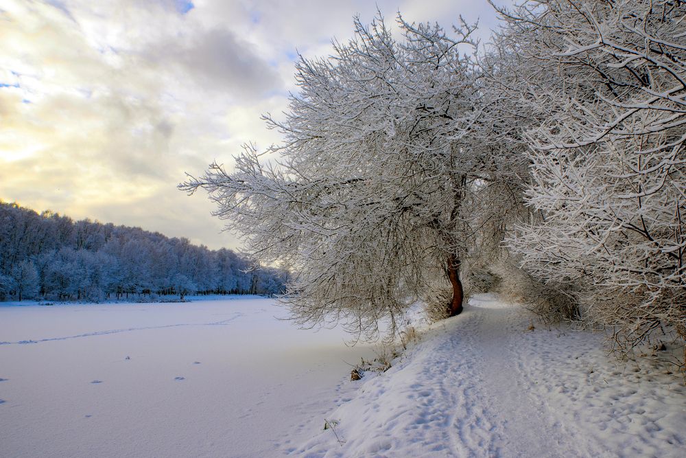 Photograph by Anatoly Lunov