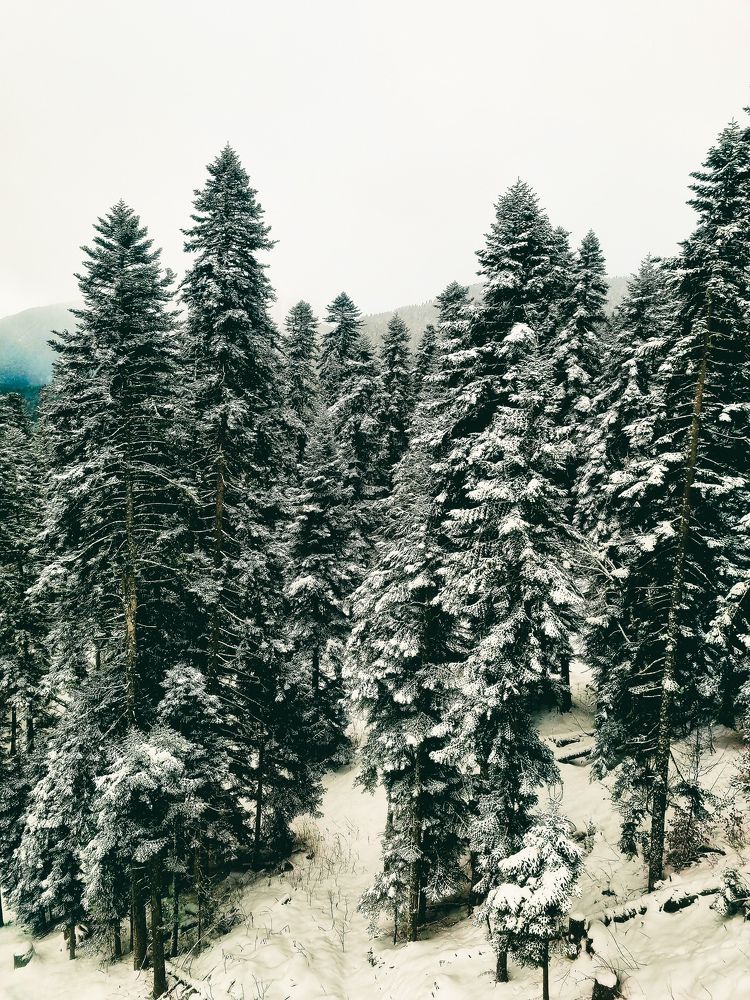 Photograph by Ирина Герлин