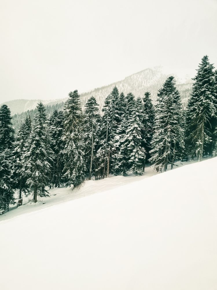 Photograph by Ирина Герлин