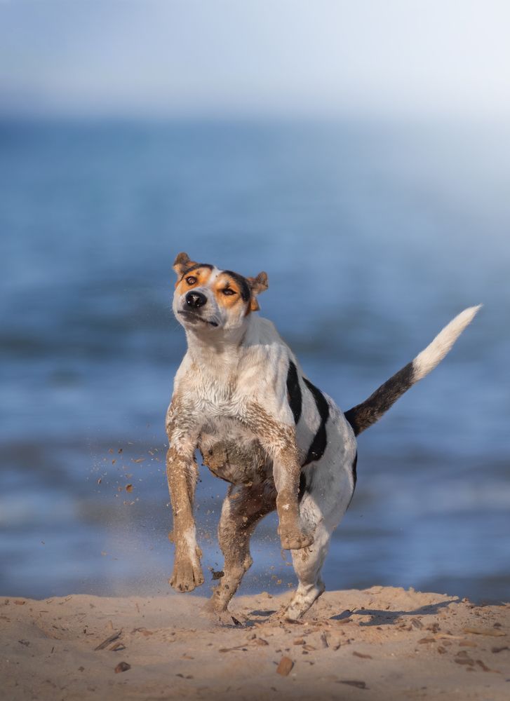 Photograph by Дарья