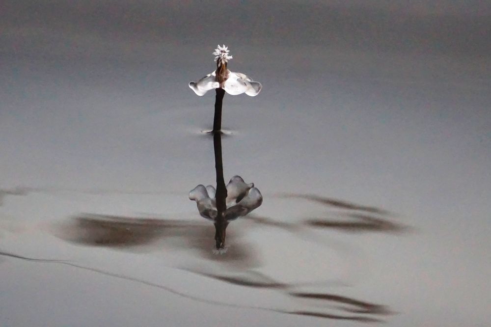 Photograph by Валерий