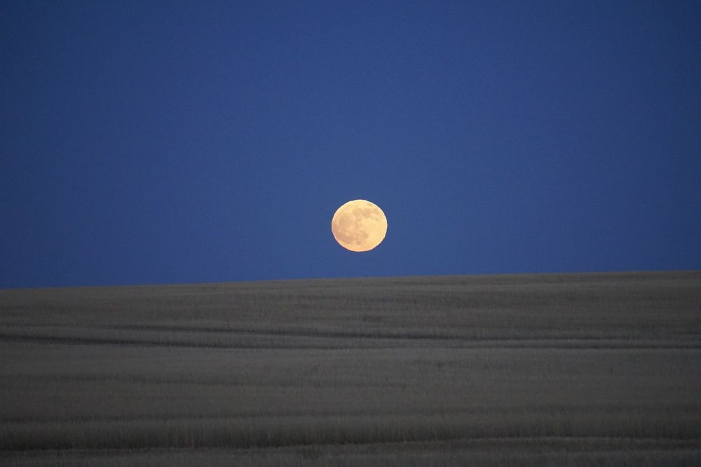 Photograph by Валерий