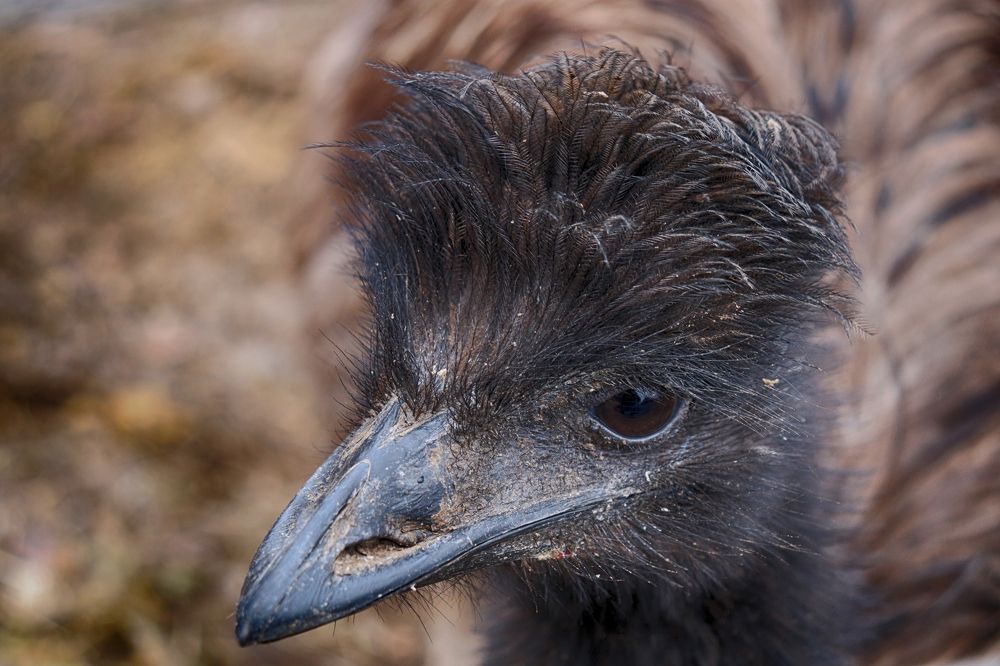 Фотография автора Füleki Elvíra