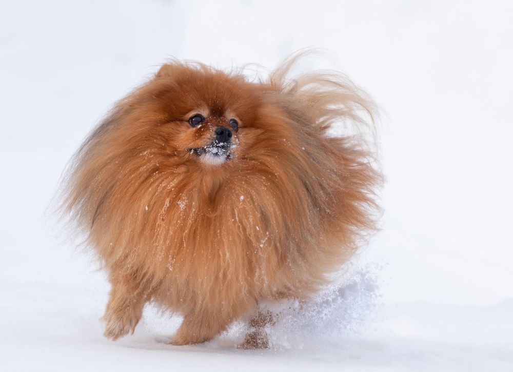 Photograph by Дарья