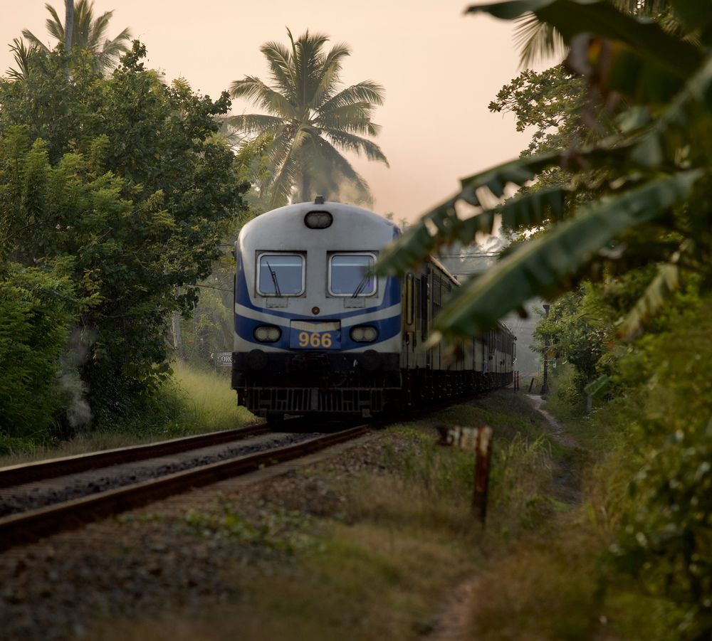 Photograph by Елена Ковалева