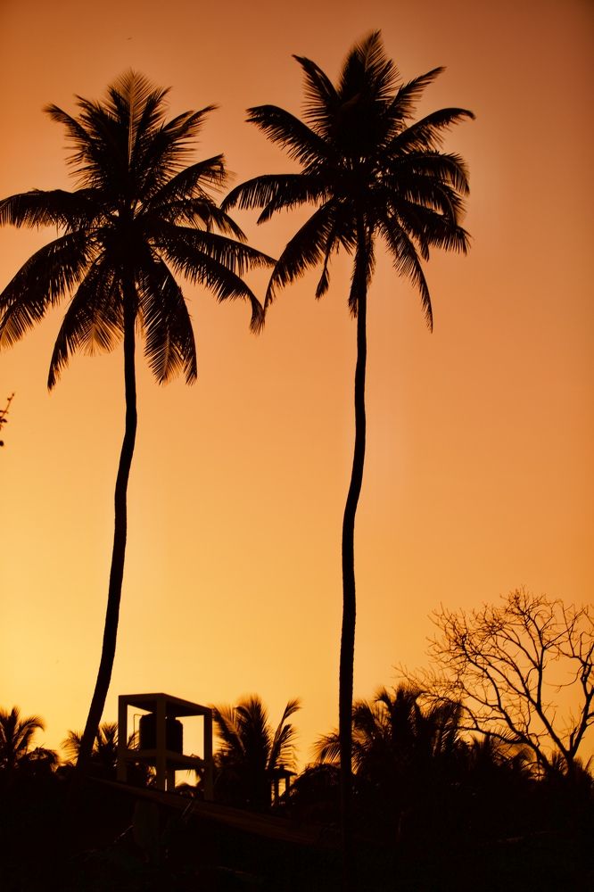 Photograph by Елена Ковалева