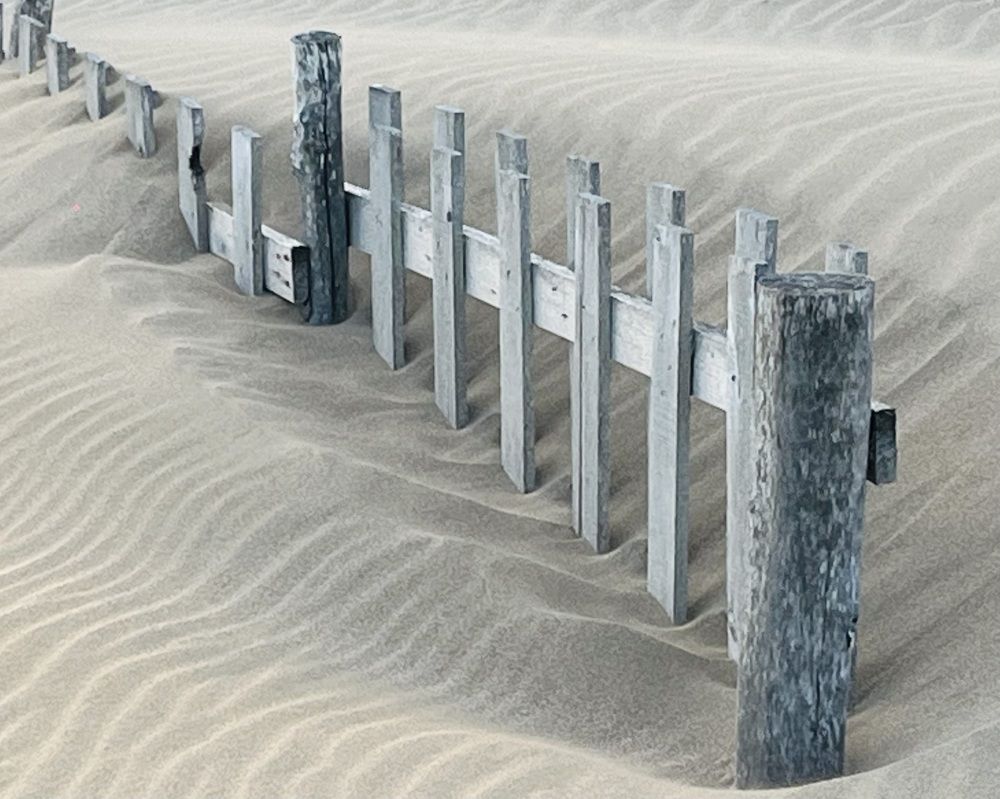 Photograph by Juan Pavlovsky