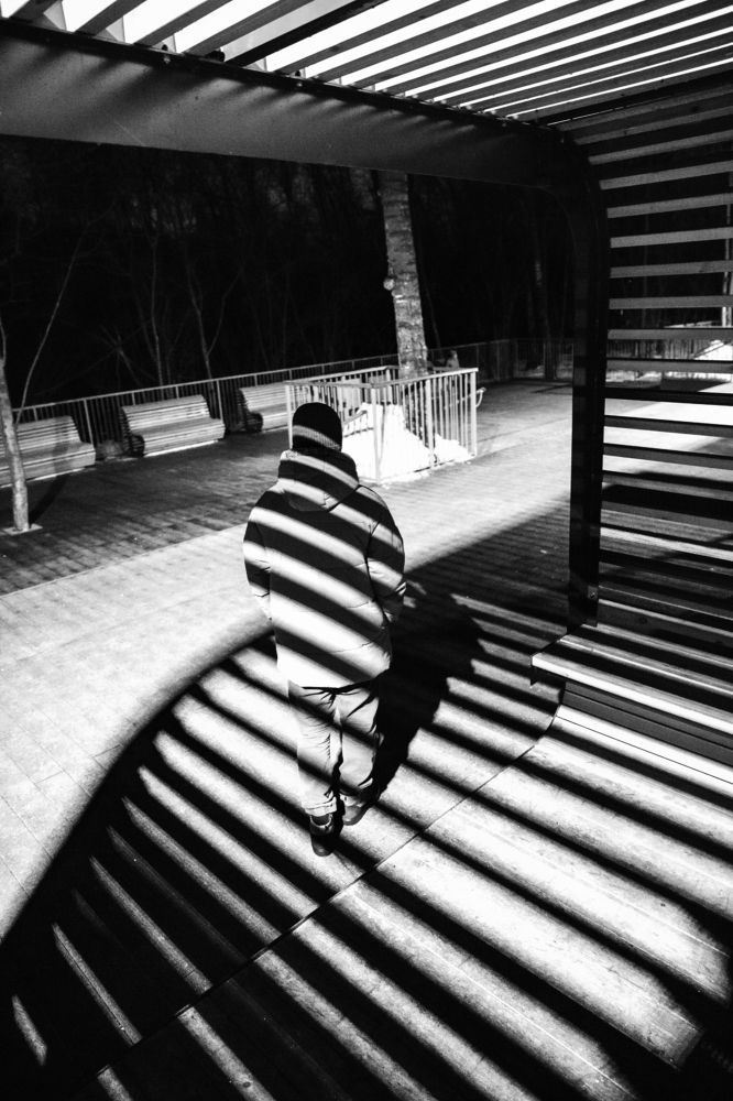 Photograph by Алексей Федотов