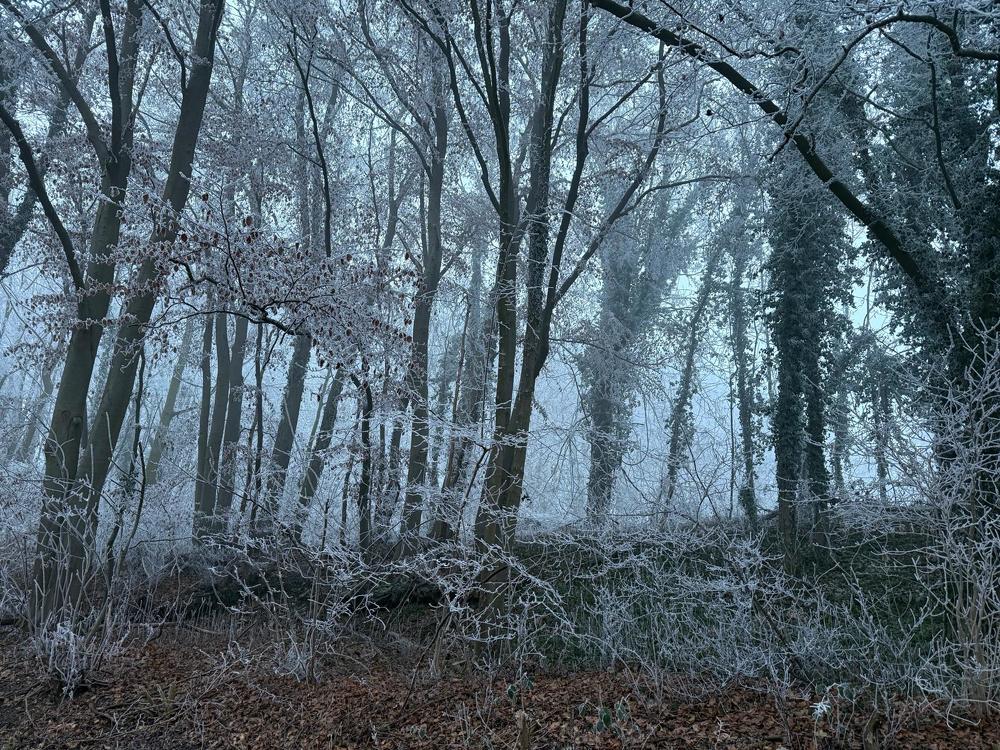 Photograph by Viktor Dikmann