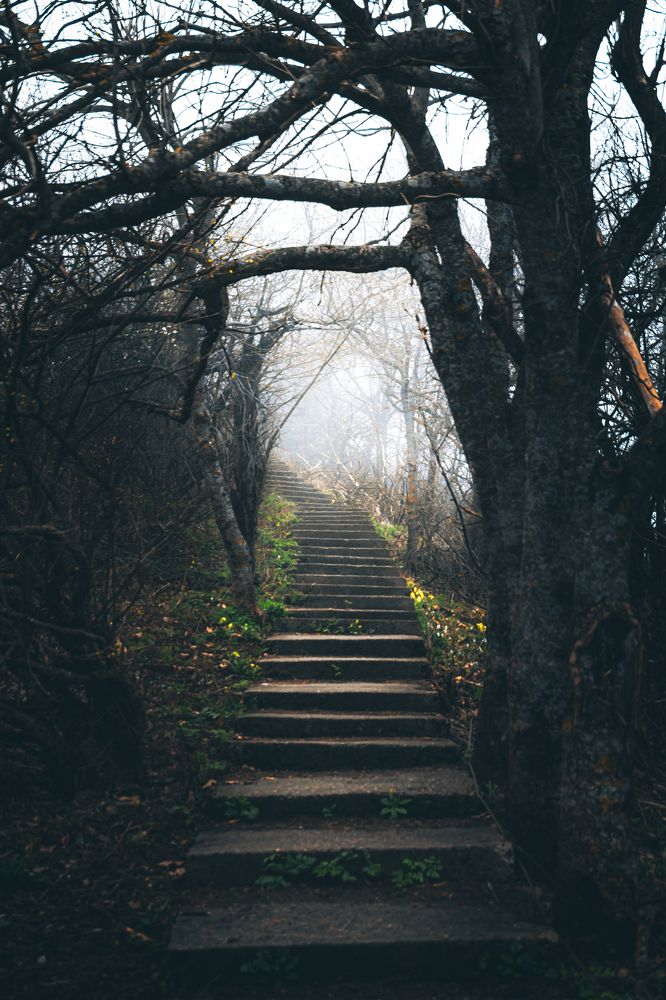 Фотография автора Павел Арсеев