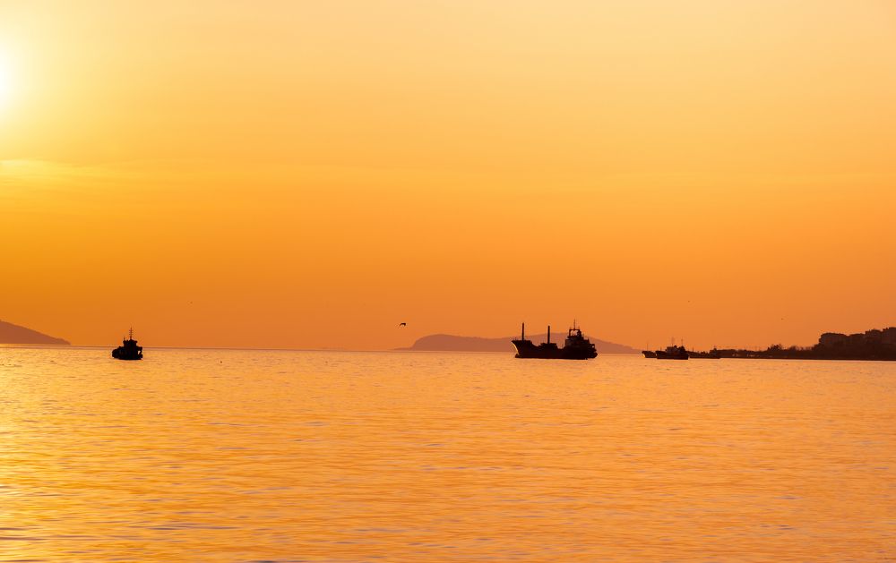 Photograph by Jamal Uddin