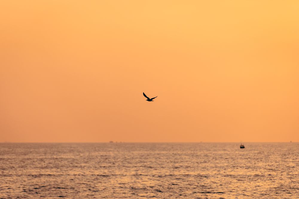 Photograph by Jamal Uddin