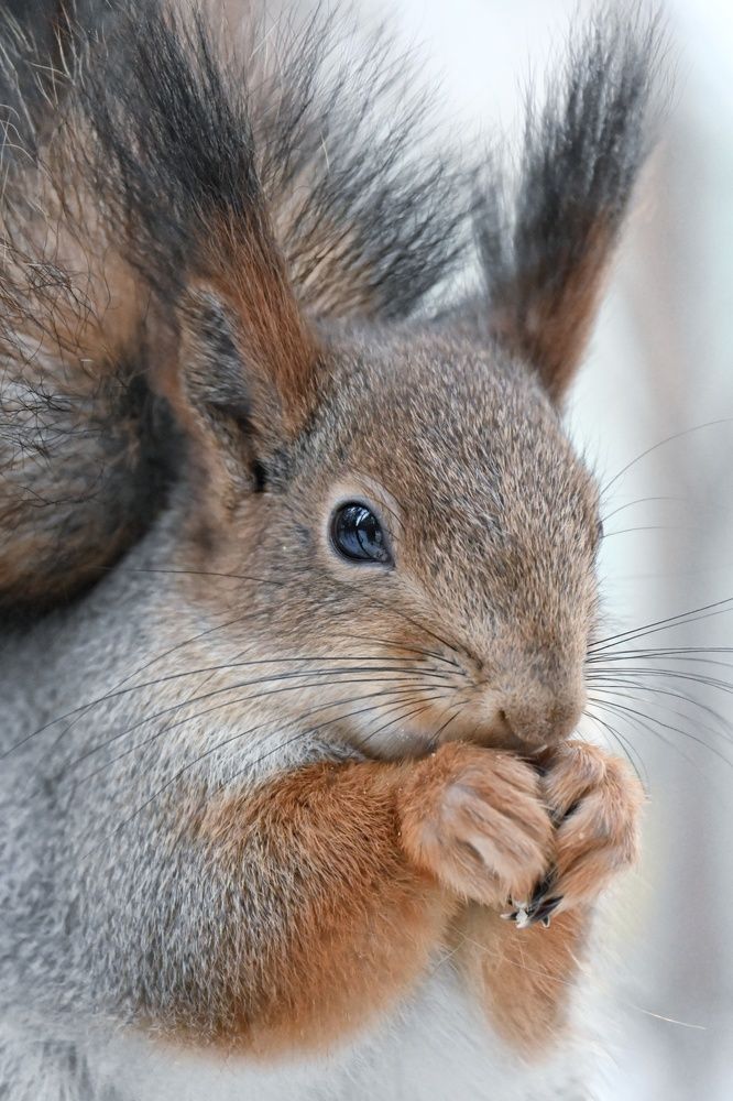 Фотография автора Olga Shchetinina