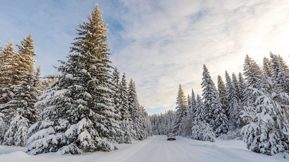 Photograph by Юрий Горяной