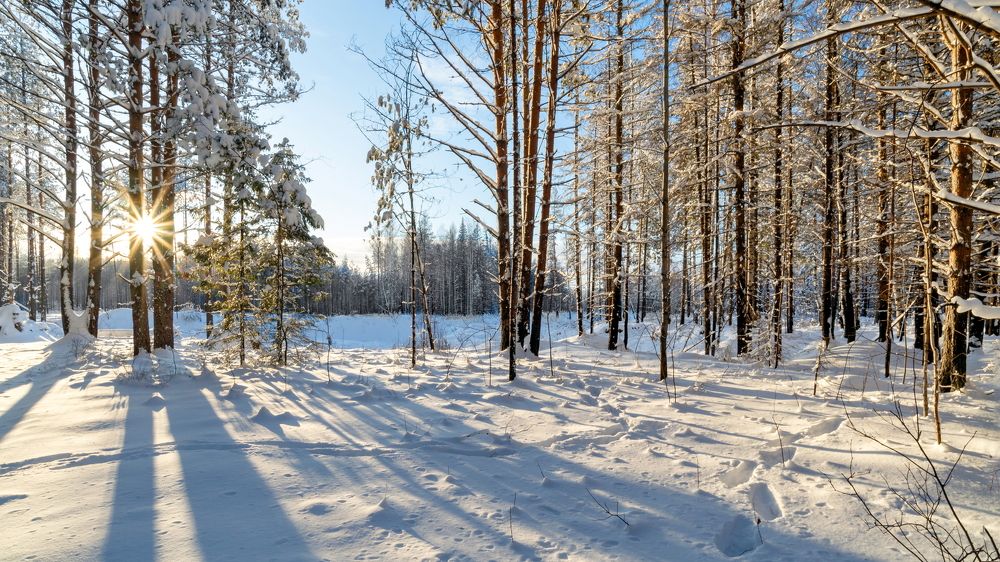 Photograph by Юрий Горяной