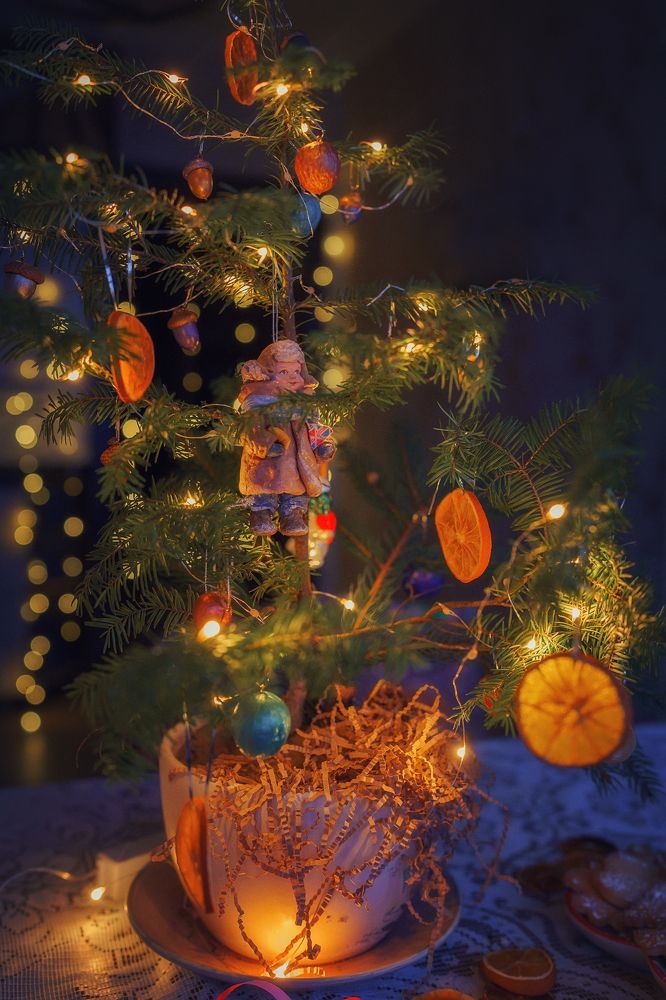 Photograph by Шкроб Наталья